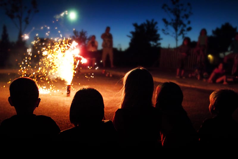 children observing firework