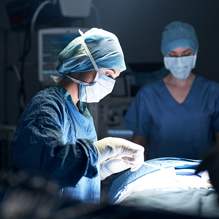 Appendix Surgery